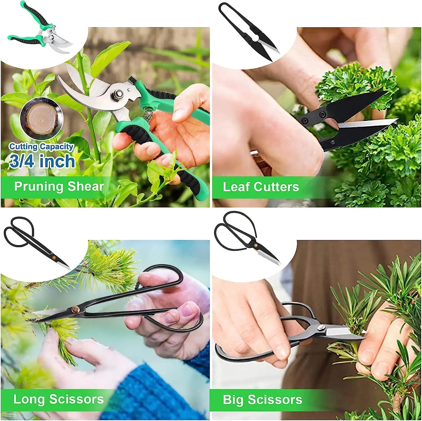 Beginner's Garden Tool Set