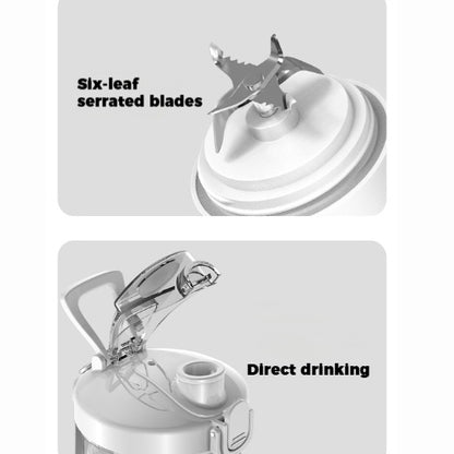 Blender bottle