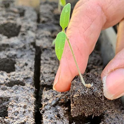 Nestable Soil Block Maker - EverGrove