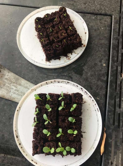Nestable Soil Block Maker - EverGrove
